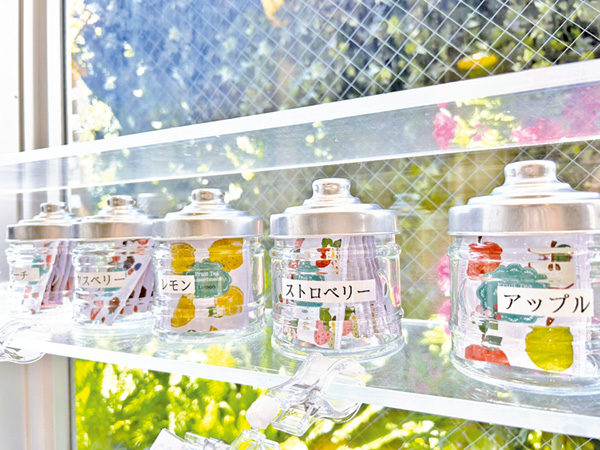 モーニンググリーンモーリスお茶パック