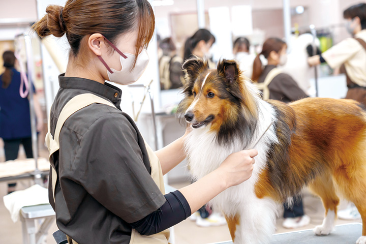 広島アニマルケア専門学校