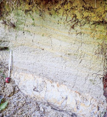 地点⑰ 川の地層