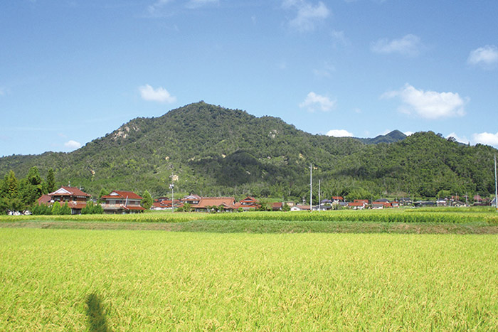 山城2_槌山城跡