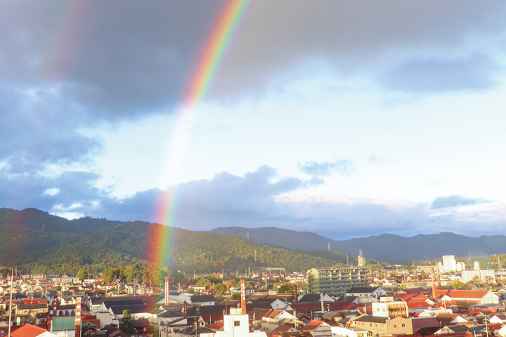 酒蔵通り上空に虹