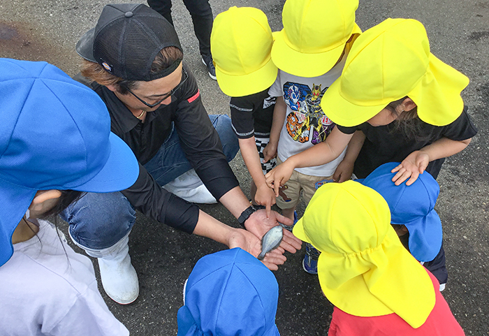 初めて見るヒラメの稚魚に興味津々な園児ら(撮影・𦚰)