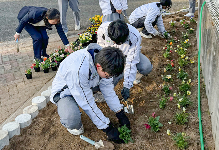 新しく整備した学校の花壇にパンジーを植える生徒(提供写真)