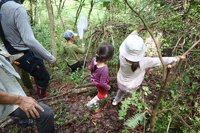 学校近くの山に入りクワガタを探す子どもら