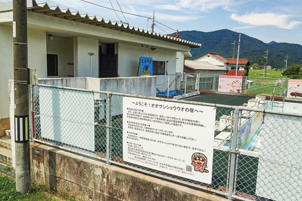 スタート地点　乃美地域センター併設の「オオサンショウウオの宿」