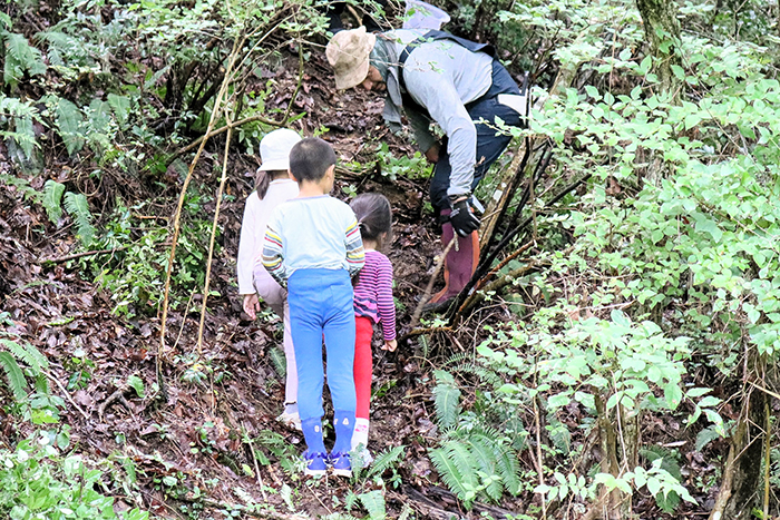 山に入り仲渡校長からさまざまな説明を聞く子どもら