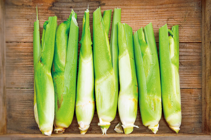 秋の味覚 マコモダケ