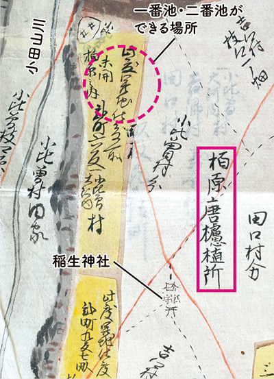 図4 唐櫨が植えられたことを示す絵図