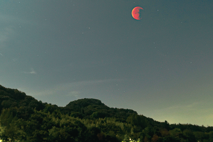 真夜中の天体ショー