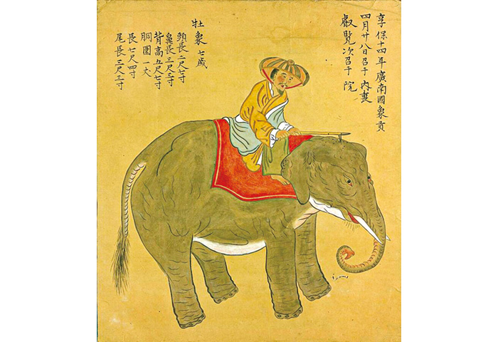 享保のベトナム象（出典：国立国会図書館）