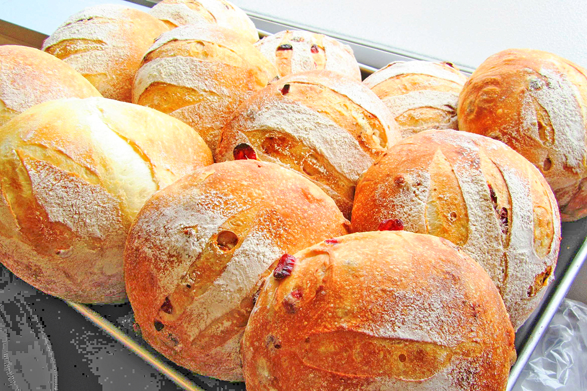 田舎パンクランベリーいちじく