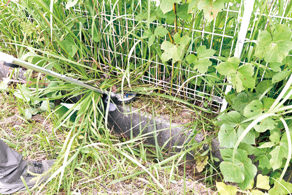 株式会社クリーベックス