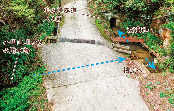 地点③ 隧道入り口手前にある用水路の分岐