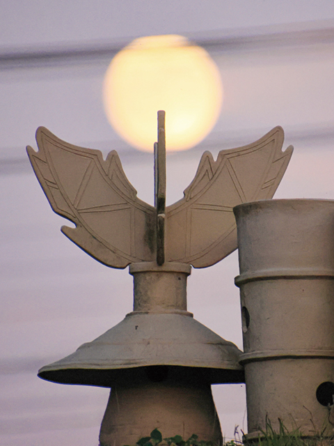 三ツ城古墳で月見