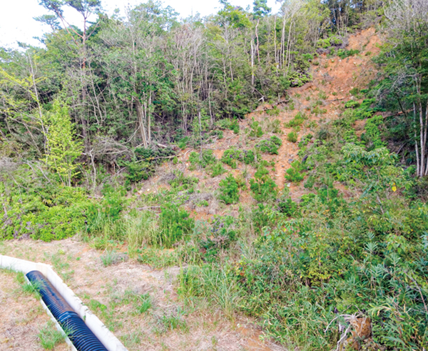 地点⑦　平成30年西日本豪雨で生じた土石流跡