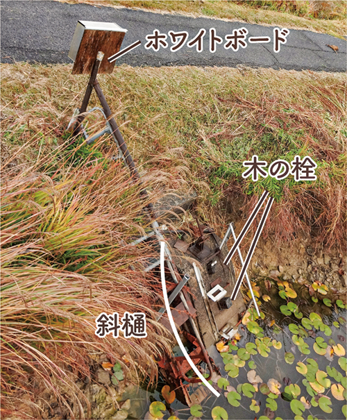 地点⑨　二番池の斜樋