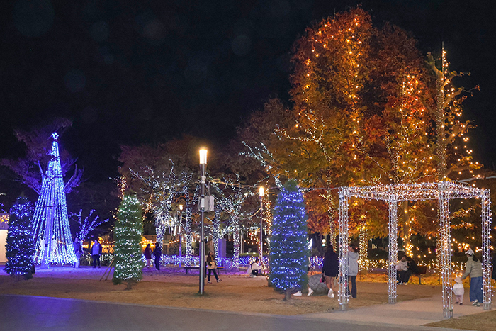 イルミネーションを楽しむ来場者(撮影・𦚰)