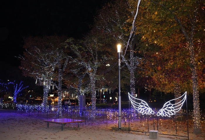 冬の風物詩 西条中央公園がイルミネーションで光り輝く