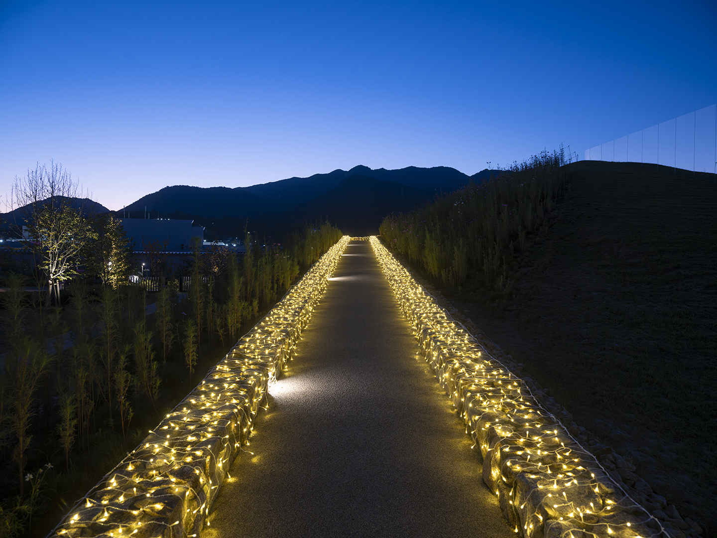 テラスへ続く丘の道