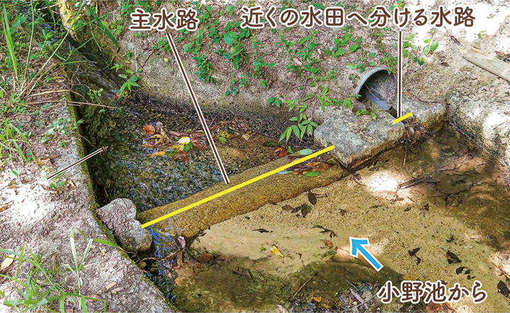 地点⑬ 現在の水路にある石製の分水盤