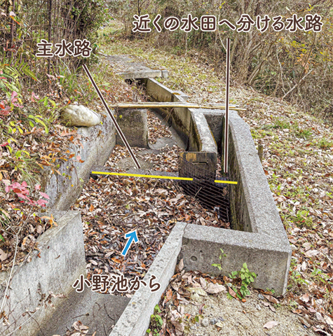 地点⑮ 昭和時代の水路にある分水盤