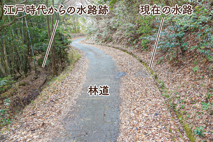 地点⑨ 現在の林道脇水路と江戸時代から続く素掘り水路