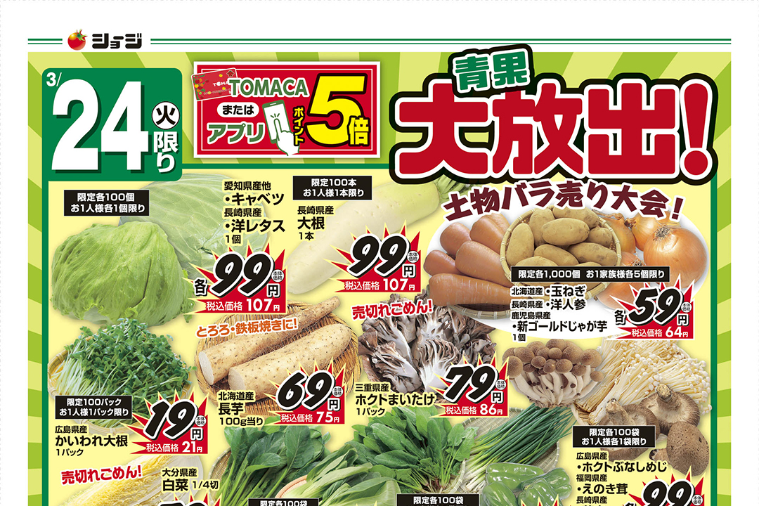 ショージ_260324_表