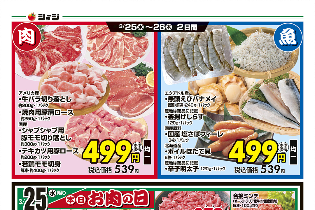 ショージ_260324_裏